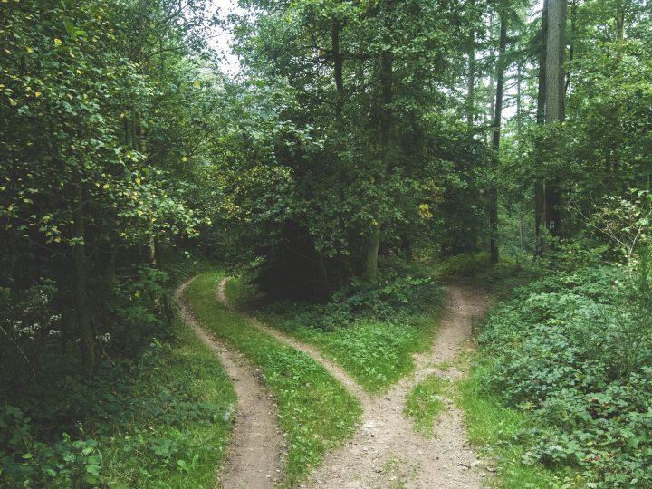 Il sentiero nel bosco che attraversa l’Italia