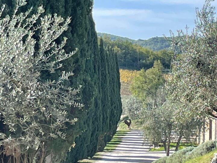 Racconto di un Viaggio nel Chianti